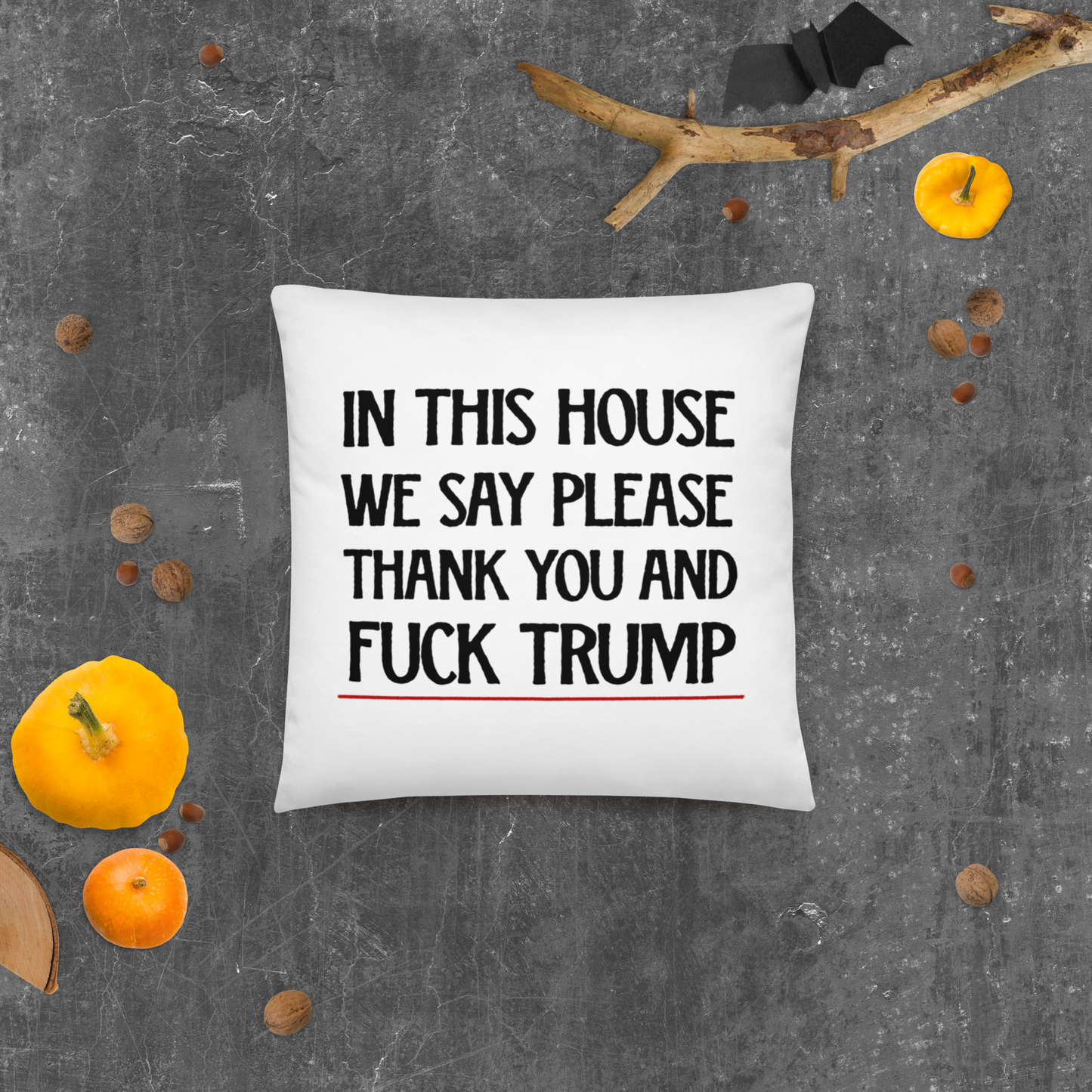 In This House We Say Please Pillow