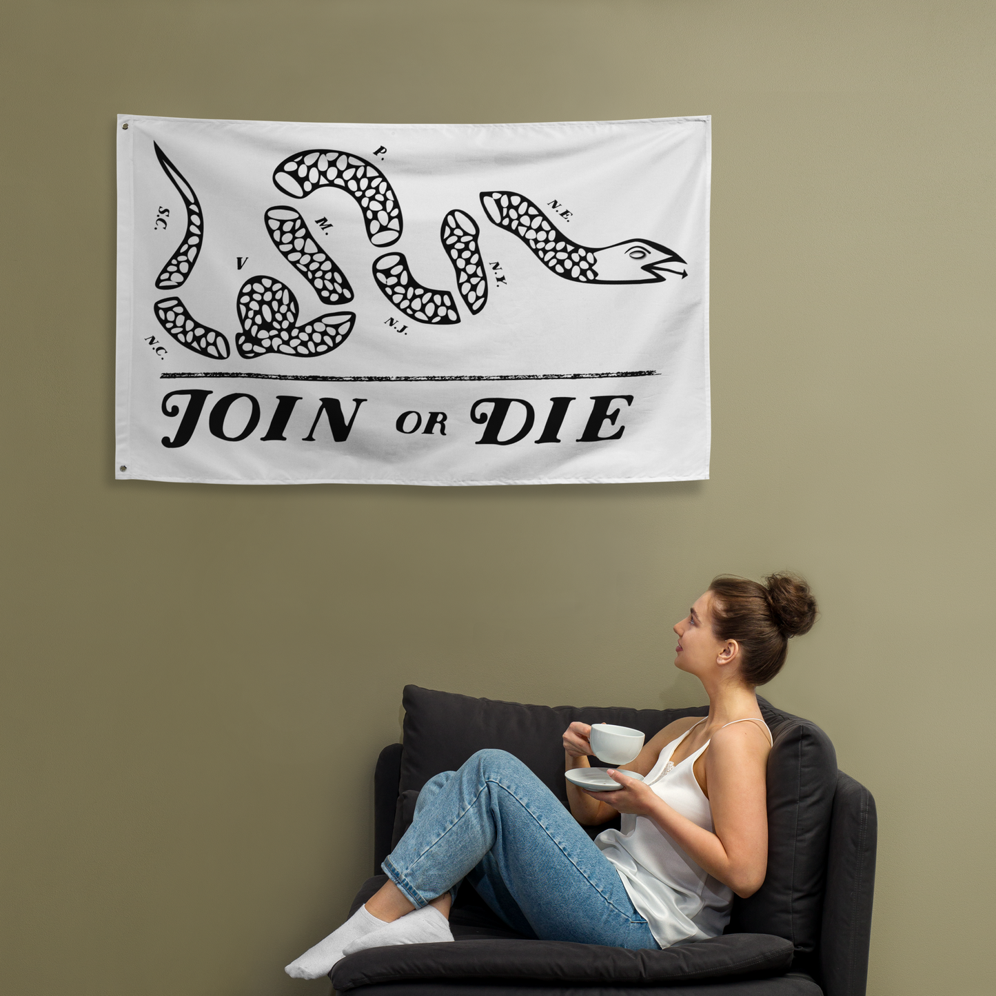 Join Or Die Flag