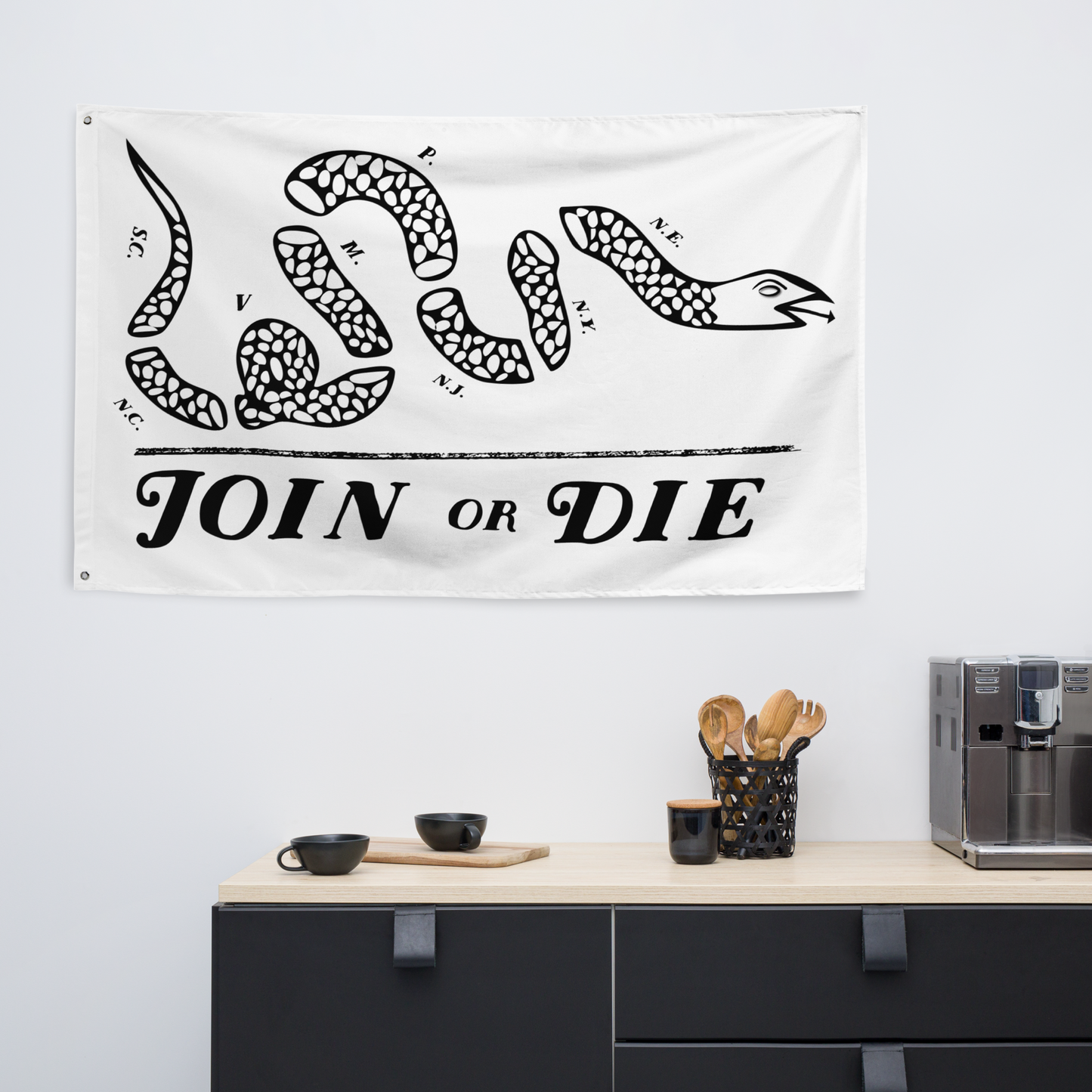 Join Or Die Flag