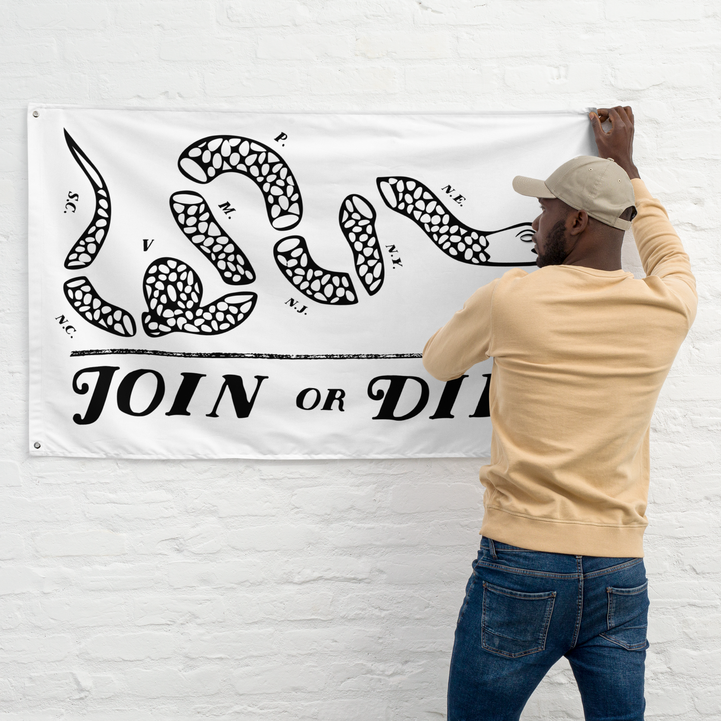 Join Or Die Flag